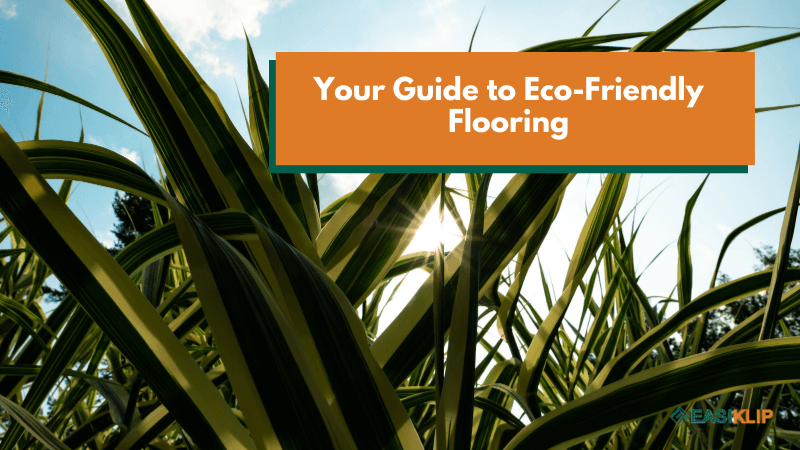 Your Guide to Eco-Friendly Flooring