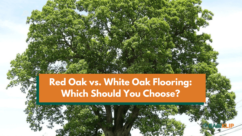Red Oak vs. White Oak Flooring: Which Should You Choose?