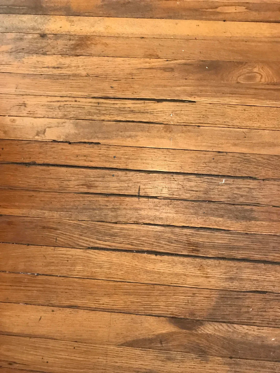 Cupped and warped hardwood from moisture