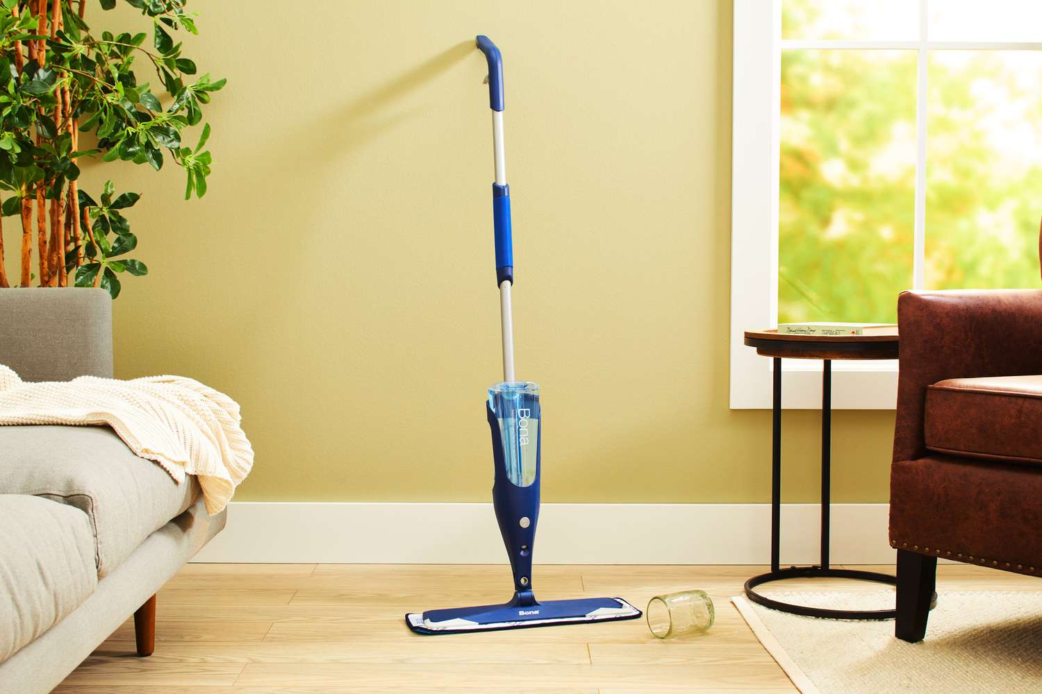 Spring Cleaning Guide